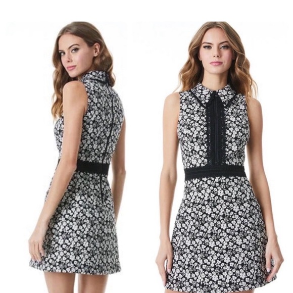 Alice + Olivia Dresses & Skirts - NWT Alice and Olivia Ellis Dress Size 4